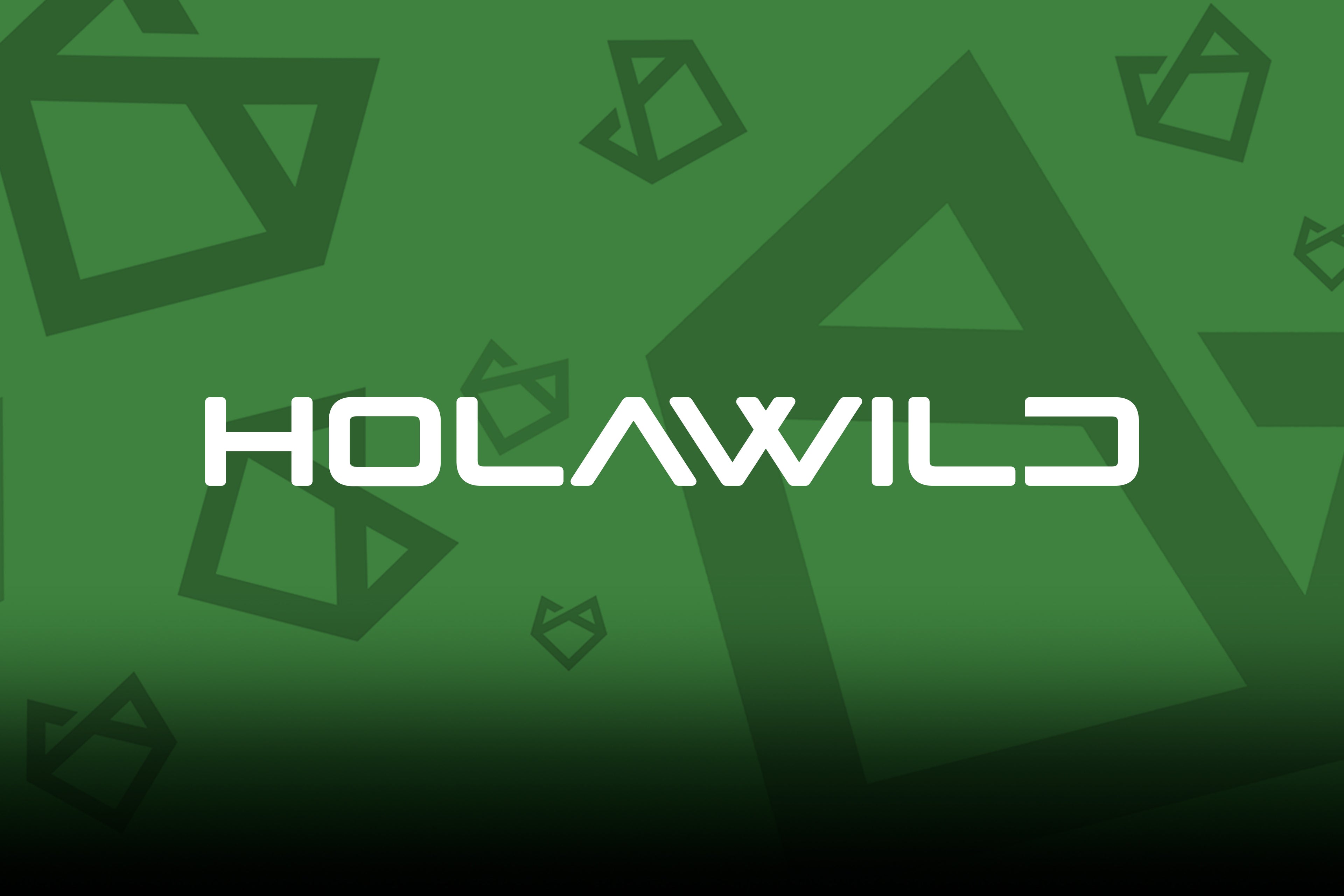 Holawild brand large banner
